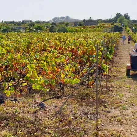 Casa Nodica 公寓 *